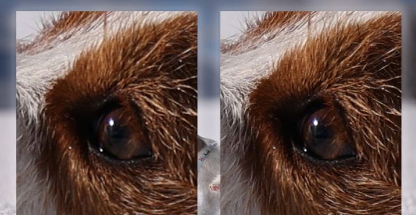 AI super-resolution/enlargement tool