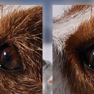 AI super-resolution/enlargement tool
