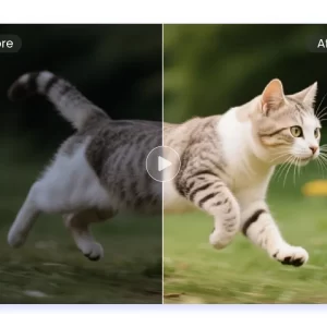 AI color enhancement/toning tools